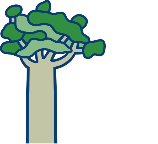 The Tindall Foundation Sponsor